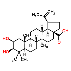 麦珠子酸