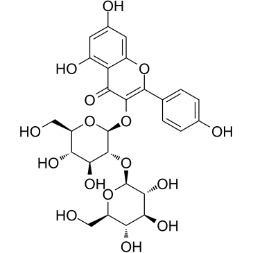 山奈酚-3-O-β-D-槐糖苷