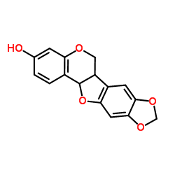 高丽槐素