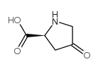 4-氧代脯氨酸