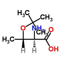 O-叔丁基-D-苏氨酸