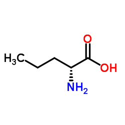 D-正缬氨酸