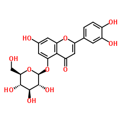 木犀草素-5-O-葡萄糖苷