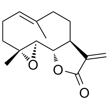 小白菊内酯