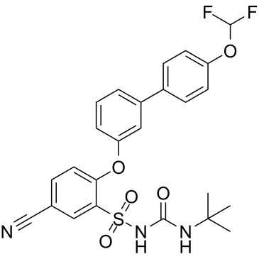 NTP42