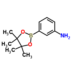3-氨基苯硼酸频哪醇酯