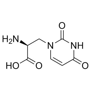 (S)-Willardiine