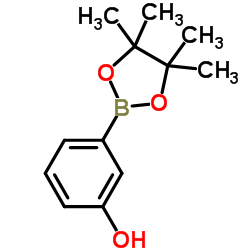 3-羟基苯硼酸频哪醇酯