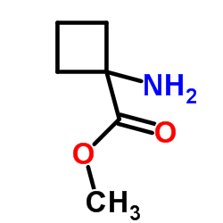 1-氨基环丁甲酸甲酯