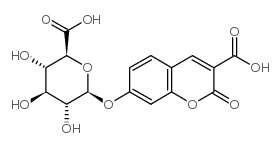 3-羧基香豆素-&beta;-D-吡喃葡萄糖醛酸