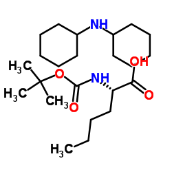 叔丁氧羰酰基正亮氨酸二环己胺盐