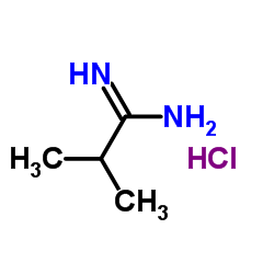 2-甲基丙胺酰亚胺盐酸盐