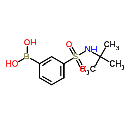 3-硼苯磺酰胺叔丁酯