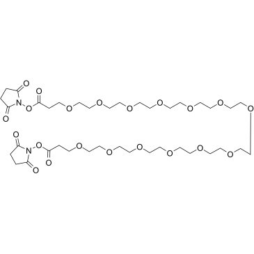 Bis-PEG13-NHS ester