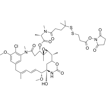 DM4-SPDP