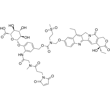 pH-susceptible lactone