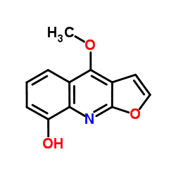 4-甲氧基呋喃并[2,3-B]喹啉-8-醇
