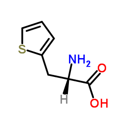 3-(2-噻吩基)-L-丙氨酸