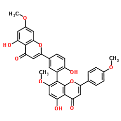 橡胶树双黄酮