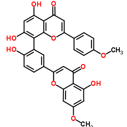 竹柏双黄酮 B