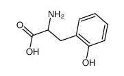 DL-o-络氨酸