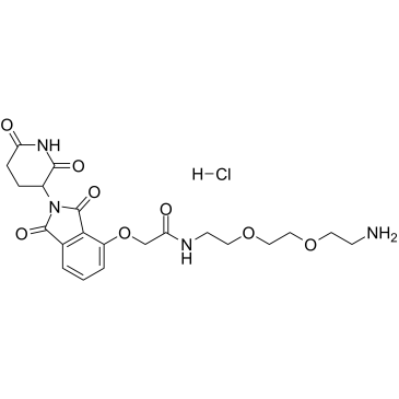 Thalidomide-O-amido-PEG2-C2-NH2 hydrochloride