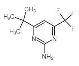 4-叔丁基-6-三氟甲基-2-嘧啶胺