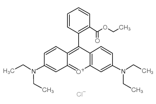 碱性红 11