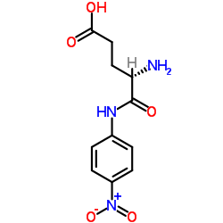 γ-L-谷氨酰对硝基苯胺一水合物