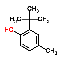 2-叔丁基对甲酚