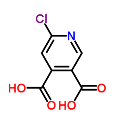 6-氯吡啶-3,4-二甲酸