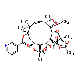 3-吡啶羧酸 (2S,3S,3AR,4R,6R,8R,10E,12R,13AR)-3,4,6,13A-四(乙酰氧基)-2,3,3A,4,5,6,7,8,9,12