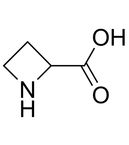 L-铃兰氨酸