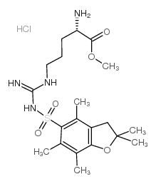 精氨酸PBF甲酯盐酸盐