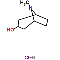 托品醇盐酸盐