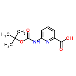6-叔丁氧羰基氨基吡啶-2-羧酸
