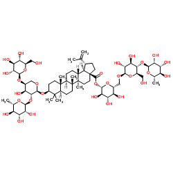 3-O-Β-D-葡萄糖( 1→3)- A -L-鼠李糖(1→2)- A-L-阿拉伯糖 齐墩果酸– 28-O-鼠李糖(1