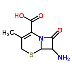 7-氨基去乙酰氧基头孢烷酸