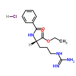 N-苯甲酰基-L-精氨酸乙酯盐酸盐