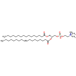2-油酰-1-棕榈锡甘油-3-磷酸胆碱