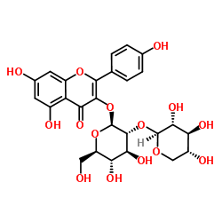 堪非醇 3-O-桑布双糖苷