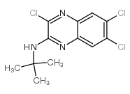2-(N-叔丁基氨基)-3,6,7-三氯喹喔啉