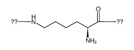 ε-聚赖氨酸