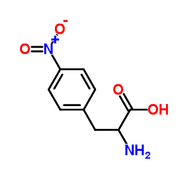 4-硝基-DL-苯丙氨酸