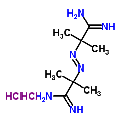 2,2'-偶氮二异丁基脒二盐酸盐