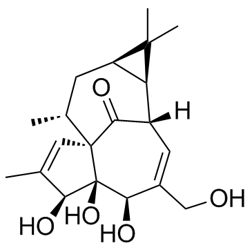 巨大戟醇