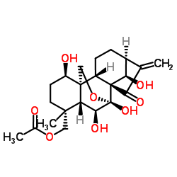旱生香茶菜素 G