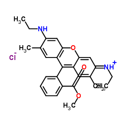 碱性红 1:1