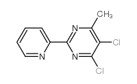 4,5-二氯-6-甲基-2-(2-吡啶基)嘧啶