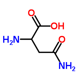 DL-天冬酰胺一水物